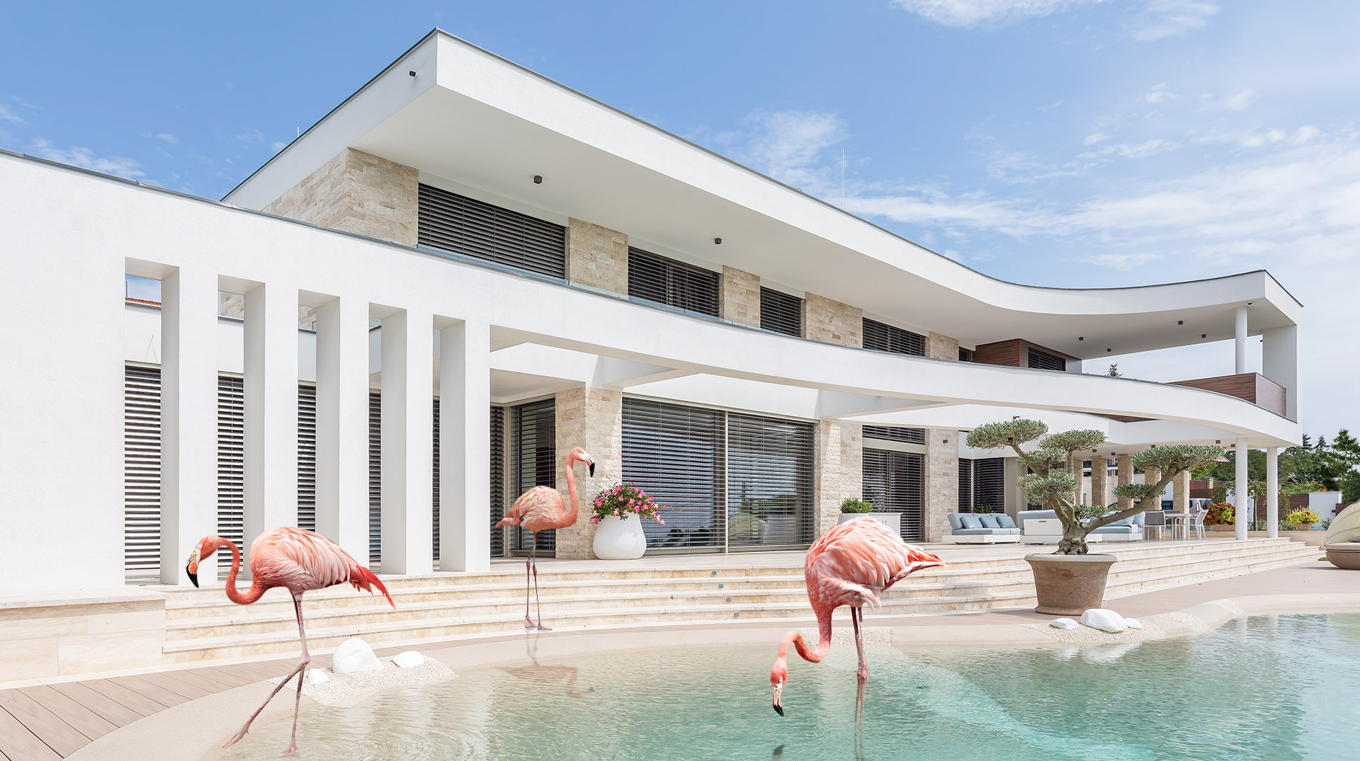 ELEGANTA GRATIOASA, APARITIE MONUMENTALA - Finisaj impecabil