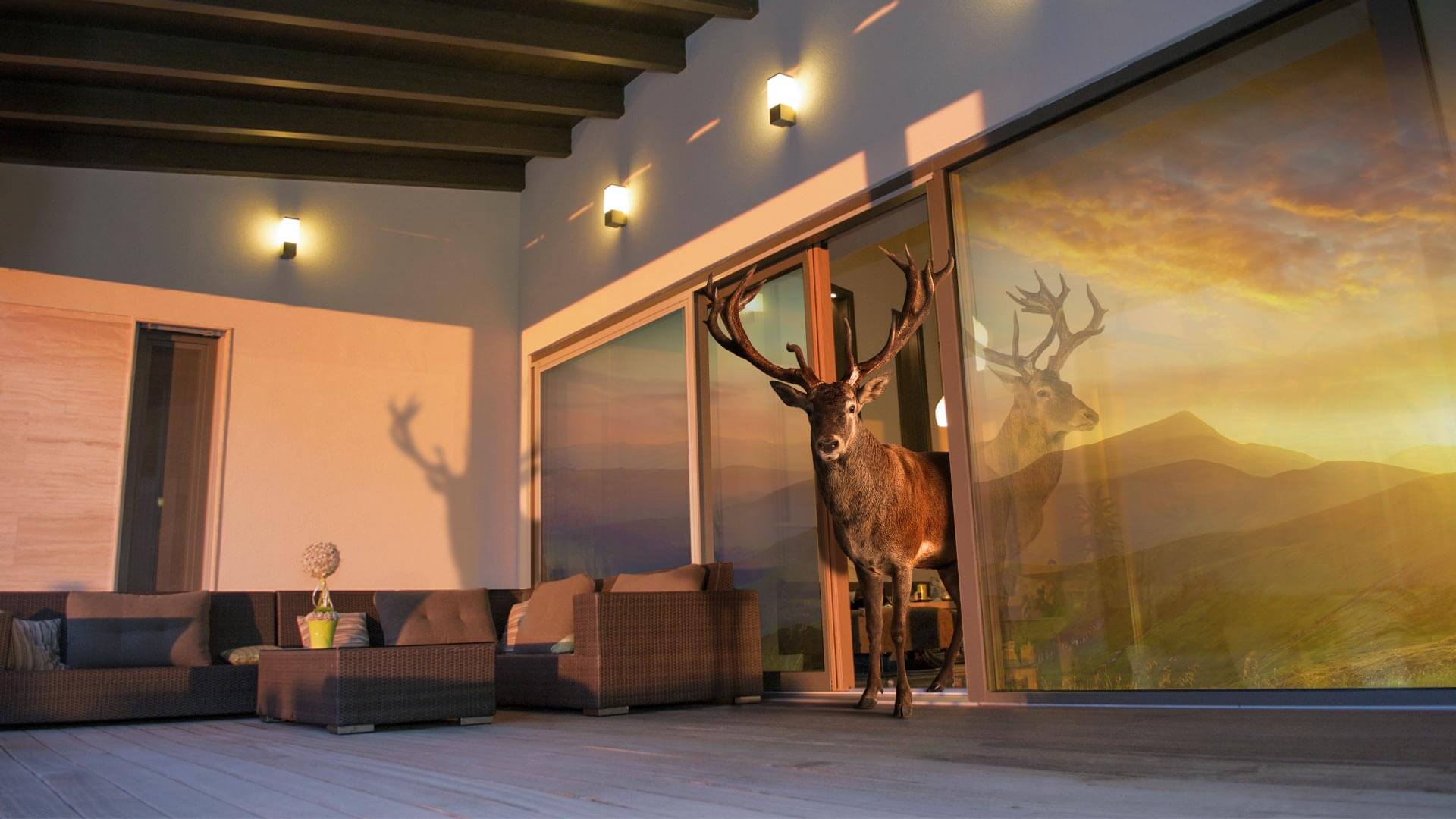 In concordanta cu natura